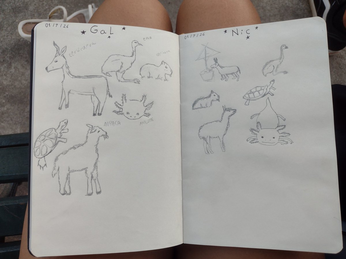 _Velvet_tty's tweet photo. Os desenhos dos animais que a gente tentou fazer ksks (desistimos de fazer 6 animais depois ksksk) https://t.co/GVZgQsyiRV