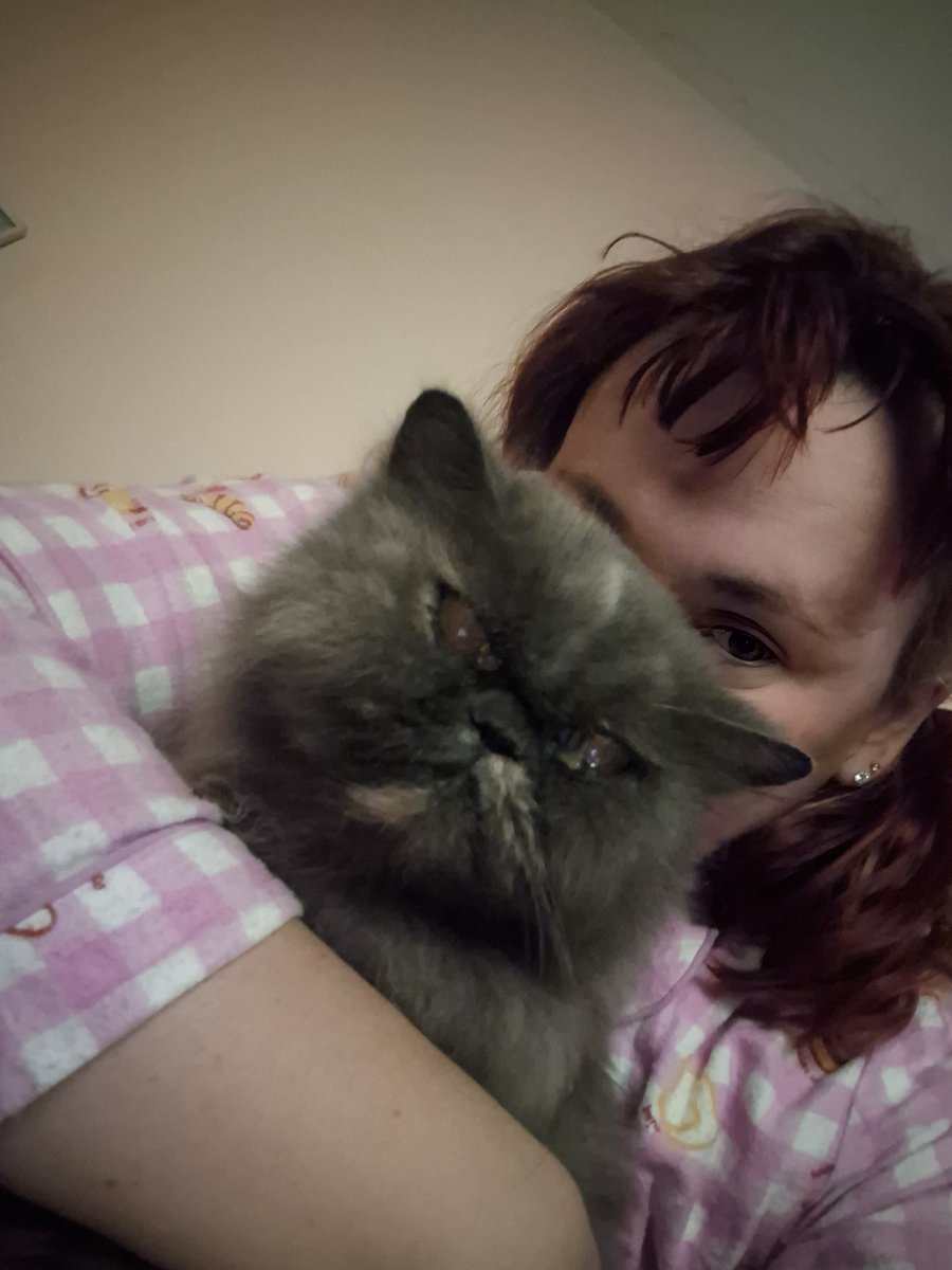 hanaphylaxis's tweet photo. Hey twitter. I haven't been on for a while but I need to share with you that my cat Penny passed away yesterday afternoon.  I've never been so heartbroken and it physically hurts to exist without her, but she's no longer in any pain. Rest in peace Penny 2011-2026. 😭💖✨️ https://t.co/2pPckFA36M