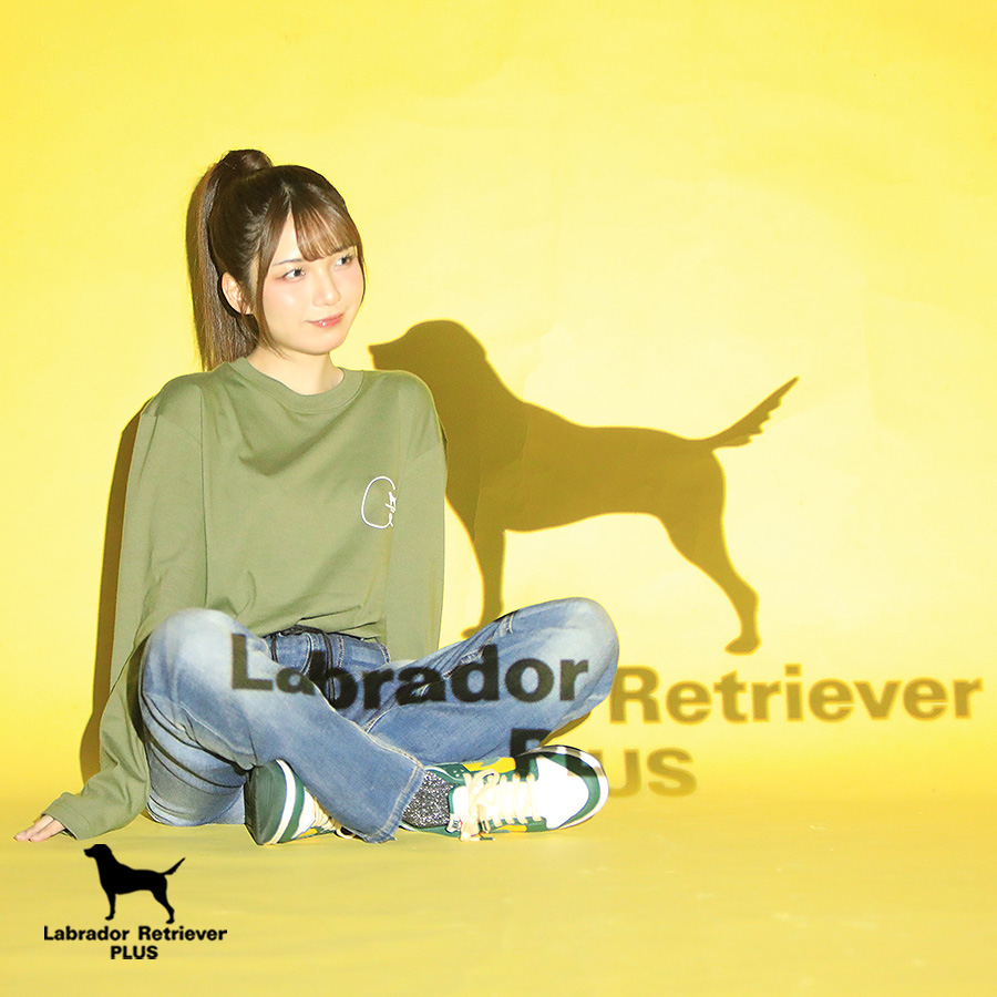 Labrador Retriever PLUS (@udgcoltd) / Posts / X