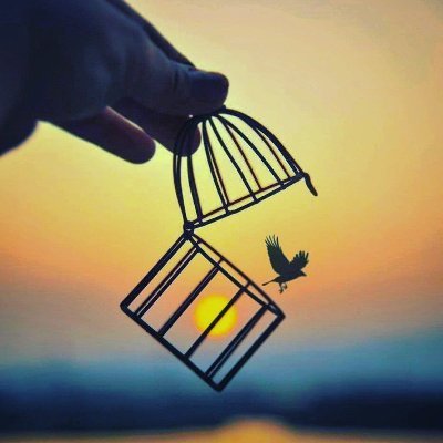amolnikam15's tweet photo. प्रत्येक माणूस आपल्या वेळेनुसार फुलत असतो...
म्हणून दुसऱ्यांच्या प्रवासाशी स्वतःचा प्रवास कधीच मोजू नका. 🌿
#LifeJourney #SelfGrowth #BelieveInYourself #Motivation #MarathiQuotes #PositiveVibes #LifeLessons #Inspiration #मराठी #विचार 🌿 https://t.co/ldGM2U92zZ