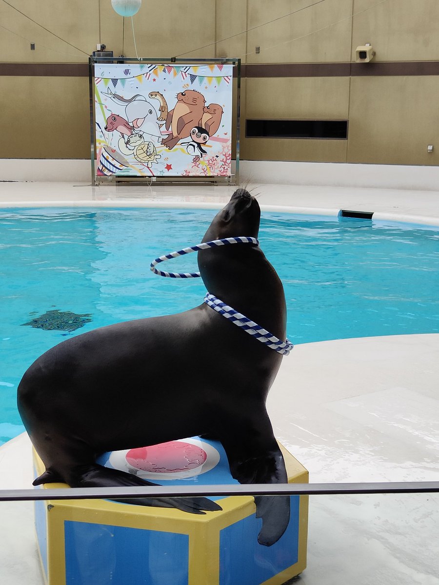 Horokod's tweet photo. 息子と二人でお出掛け🚢 https://t.co/jqjbus9HRY