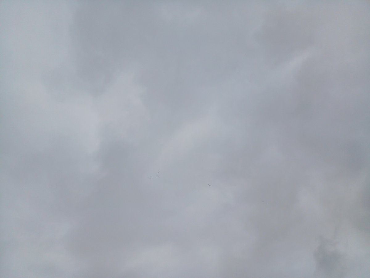 lucidmem0ry's tweet photo. ehh, saque otro tema ambient porque aja, aja, eso  

https://t.co/mm2jiJNJ8s

https://t.co/5kMnzy7fpN https://t.co/j7UTr9muTO