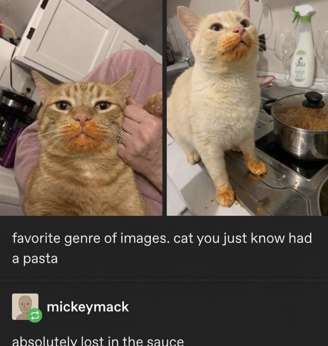 RespectfulMemes's tweet photo. https://t.co/Xjy18oBYPO