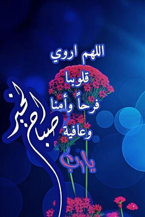 waleedalshamsi's tweet photo. https://t.co/CualU2BtYq