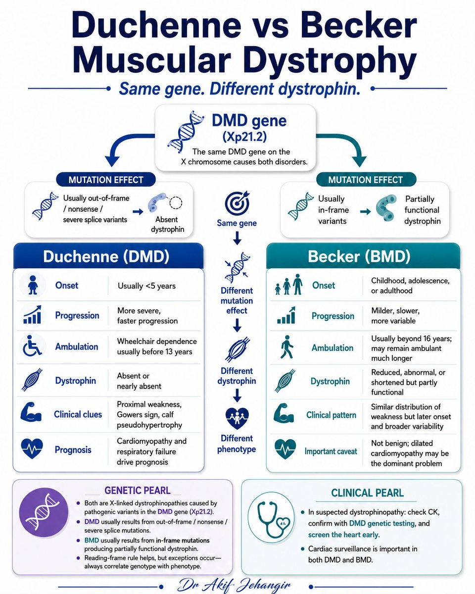 pgMedicine's tweet photo. Duchenne vs Becker Muscular Dystrophy https://t.co/fGxOK9Ya1t