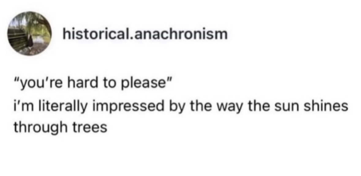 Respectful Memes tweet media