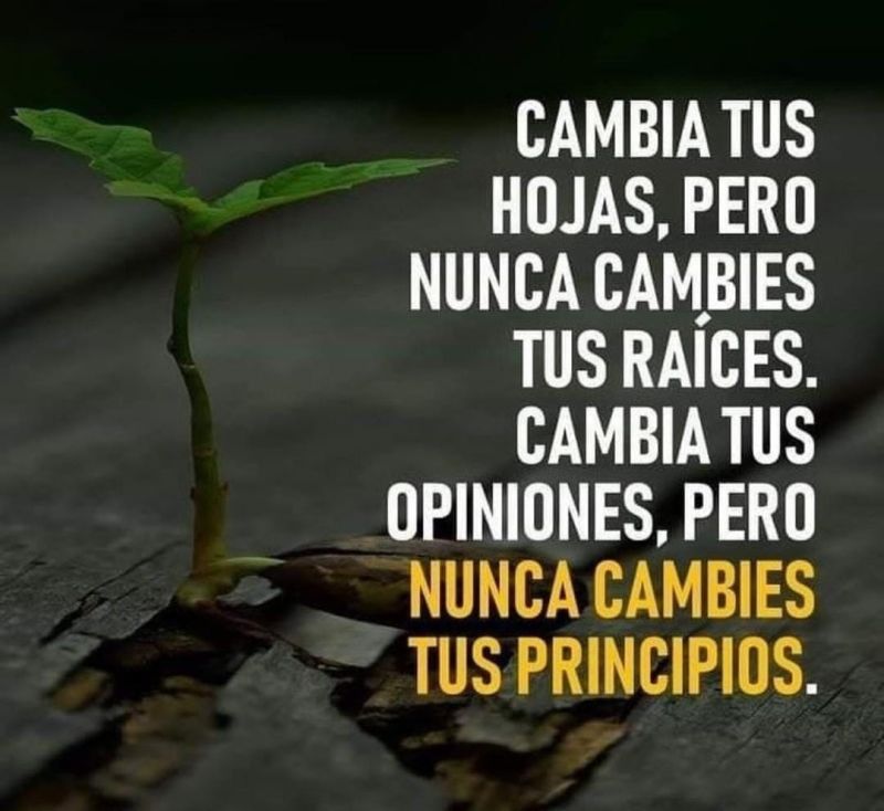 FelipeLoSeMa's tweet photo. Buuuueeeenooooss diiiaaasss, vamos a por el jueves con una gran sonrisa y motivación a topeee. Recuerda que hoy será un gran día para conseguir lo que te propongas 💪☕😊 #disfruta #atopeee #energíapositiva #motivacion #sefeliz #BuenosDiasATodos https://t.co/zLQVqiV5Rz