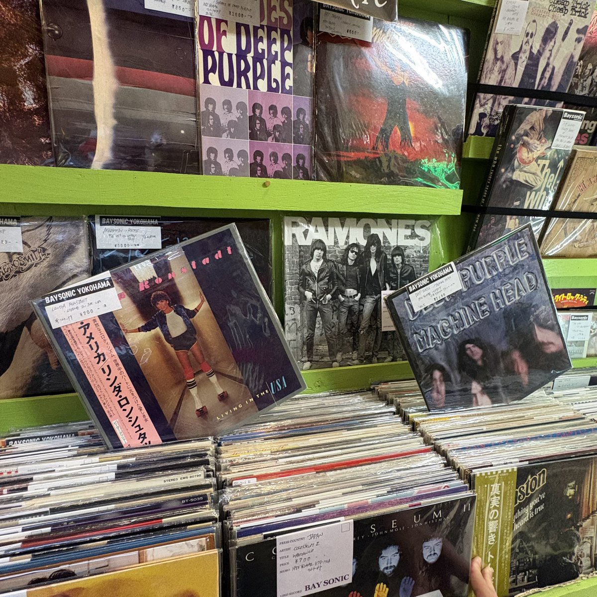 collectors_mall's tweet photo. Baysonic Yokohama に新商品が入荷しました！
オススメはEnigmaレーベルのプロモ盤CD。
The Cramps, DEVO, TSOLやDead Milkmenなどが収録。
かなりレアです！
他にもCD、DVDやレコードも入荷しています！

#新商品
#レコード
#Vinyls
#Records
#通販やってます https://t.co/iCIv2QSJs2