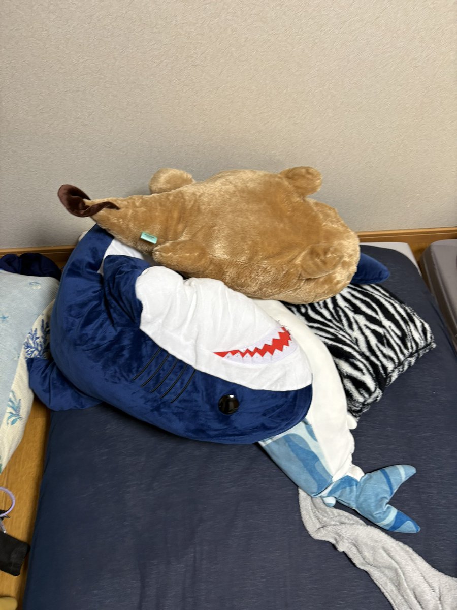 Minchi_meat's tweet photo. 枕元のぬいぐるみなんじゃがウロボロスみたいになってた https://t.co/qYhyothb9E