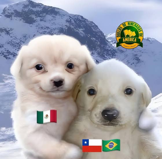 Shadron's tweet photo. @SebastianVian69 en Chile estamos con México https://t.co/URjtrUSAak