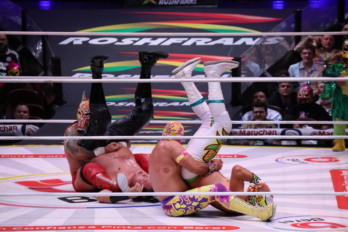 LaTijeraLucha's tweet photo. Tremendo nudo egipcio de #Esfinge para proclamarse ganador junto con #CapitánSuicida en el evento estelar del miércoles de #ArenaMéxico, dando cuenta de #Euforia y #GuerreroMayaJr., quienes a pesar de la experiencia sucumbieron ante la dupla técnica...
#latijeraluchalibre https://t.co/o25CxDVOOG