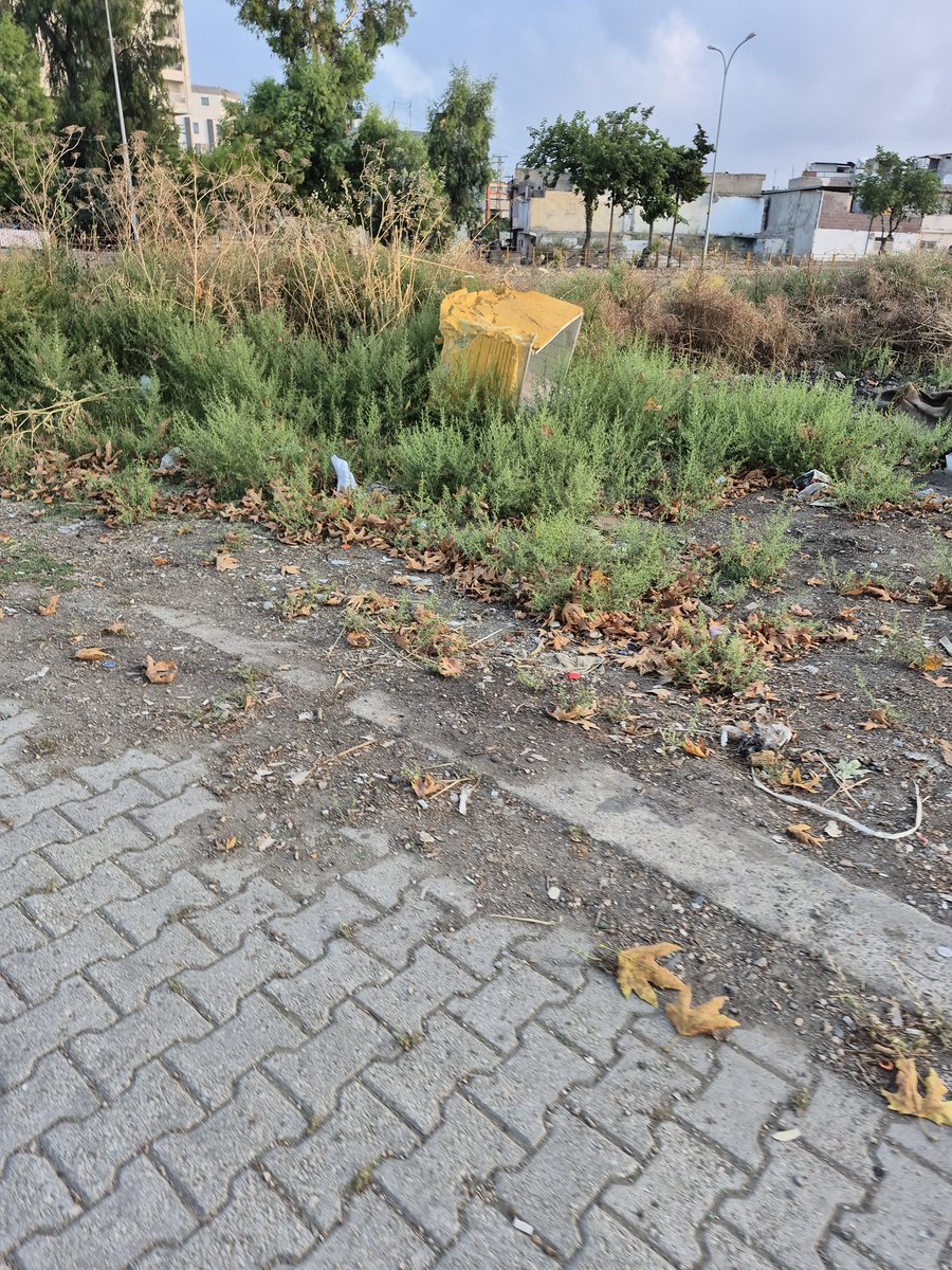 avcui00's tweet photo. ✏️ Bir şehrin temizliği, huzuru ve düzeni sadece belediyenin temizlik işçisine, polisine ya da zabıtasına ihale edilemeyecek kadar büyük bir sorumluluktur. Devletin her sokağın başına 24 saat nöbet tutacak bir görevli dikmesi imkansızdır. İşte bu yüzden, **her vatandaş aslında kendi sokağının bekçisi, polisi, kaymakamı ve valisi olmak zorundadır.**
Vatandaşın "bekçi ve polis" olması demek; mahallesine, sokağına aidiyet duygusuyla sahip çıkması demektir. Gece yarısı sokağa gizlice eski eşya bırakan birini gördüğünde uyarabilmek, kaldırıma usulsüzce çöp yığanlara karşı durabilmek ve çevreyi talan eden duyarsızlığa karşı sesini çıkarabilmek gerçek bir vatandaşlık görevidir.
Ancak sokaklarımızdaki düzeni ve huzuru tehdit eden en büyük unsurlardan biri de denetimsizce sokaklarda cirit atan çöp hurdacılarıdır. Çöp konteynerlerini talan eden, içindekileri etrafa saçan ve sokakları adeta birer açık hava hurdalığına çeviren bu kontrolsüz yapıya karşı acilen önlem alınması gerekmektedir. Çevreyi ve halk sağlığını hiçe sayarak sokaklarda hurda toplayan, topladıkları atıklarla yolları ve kaldırımları işgal eden bu kişilerin acilen sokaklardan toplatılması yasal bir zorunluluktur. Onların yarattığı bu kaos ve kirlilik, mahallelinin ve temizlik işçilerinin emeğini bir çırpıda yok etmektedir.
İşte tam da bu noktada vatandaşın "kaymakam ve vali" olması, sokağındaki bu tarz usulsüzlüklere, kamu malının zarar görmesine ve çevre katliamına devlet ciddiyetiyle sahip çıkması, yetkilileri göreve çağırması demektir. "Ben kapımın önünü süpürdüm, gerisi beni ilgilendirmez" mantığı bencilliktir. Asıl mesele, sokağı da evin bir odası gibi görebilmek, sokakları güvensiz ve kirli hale getiren bu çöp hurdacılarına karşı dik durabilmektir.
Eğer bizler kendi sokağımızdaki haksızlığa, pisliğe, sokakları mesken tutan hurdacıların yarattığı düzensizliğe göz yumarsak, o sokakta ne huzur kalır ne de adalet. Bir şehir, sakinlerinin duyarlılığı kadar temiz, vatandaşının ciddiyeti kadar düzenli olur. Sokağımıza bir yönetici ciddiyetiyle, bir kolluk görevlisi dikkatiyle sahip çıkmak; hem yaşadığımız çevreye hem de geleceğimize olan borcumuzdur.