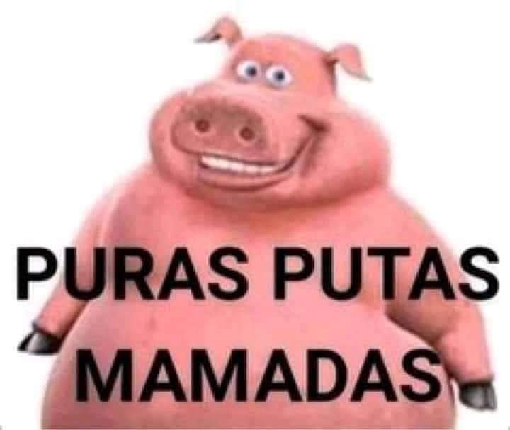 Shield_Angie24's tweet photo. @ReikoCore Eso que https://t.co/ekMpGyxBlK