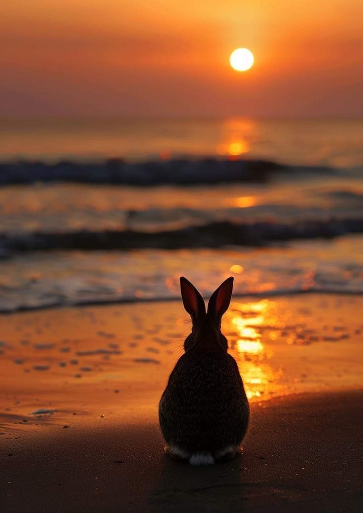 RockyTrails's tweet photo. Rabbit Rabbit Rabbit https://t.co/lS9yN7l17a