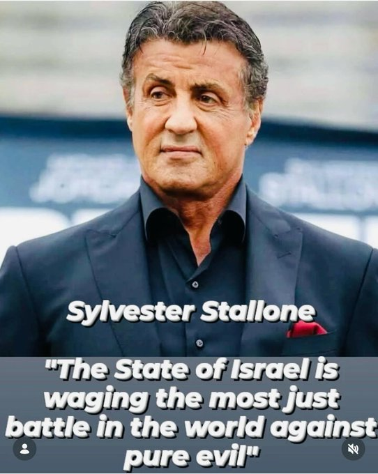 Vivid.🇮🇱 tweet media