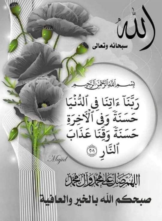 ملک صاحبہ tweet media