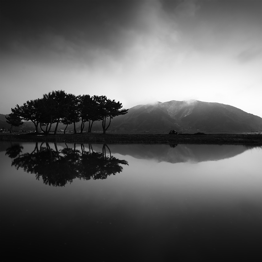 artlimitednet's tweet photo. The Gathering by Jeff Mercader https://t.co/VLgb8YjmVi
#photography #blackandwhite #bnwphotos #blackandwhitephoto #blackandwhitephotography @nikonusa #lake #nature #river @nikonnews #zeiss @nikon1917 #fineartphotography #mystery #camera #blackwhite #bw_life #passion #biwa… https://t.co/7JMITpsTT5