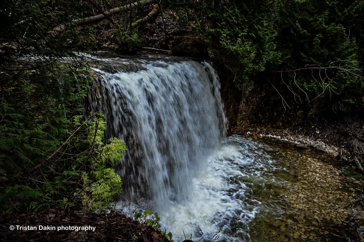 TristanGDakin's tweet photo. I think next week if Canada heatwave breaks and my tattoo is healed enough I’ll be dusting off my camera after two months again.. missing nature and photography 😍 https://t.co/2QwAPbwTOY