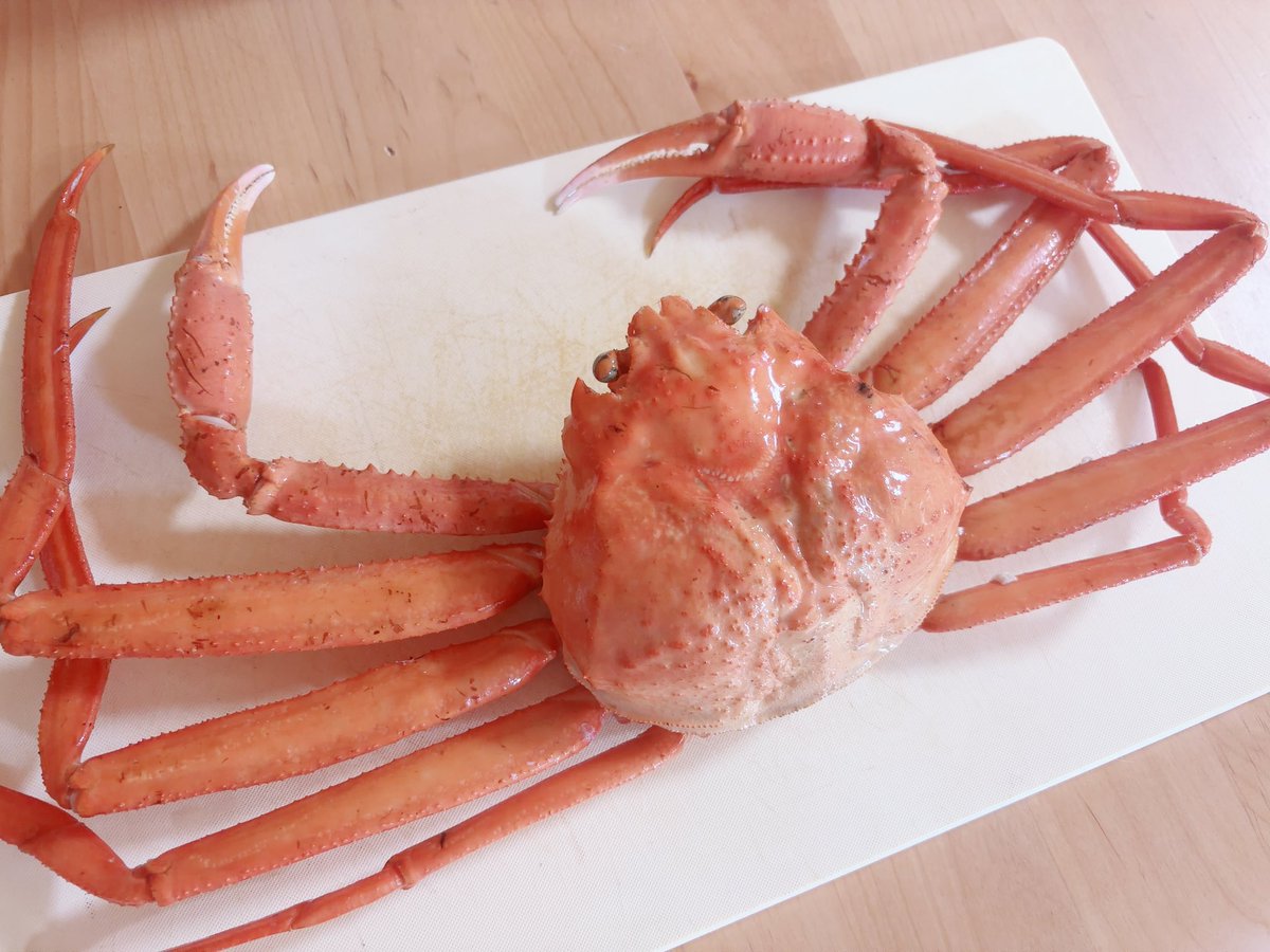 meme_091_'s tweet photo. 蟹もらったから捌いてたべる！！🦀 https://t.co/vykAaHbQv5