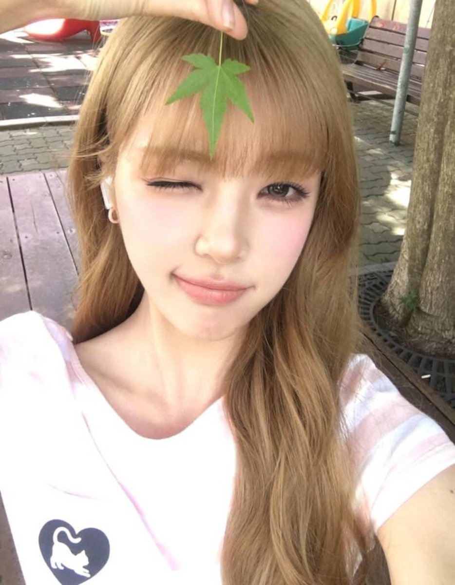 H2H_INA's tweet photo. 260702 #YUHA weverse post 

Cuacanya sangat bagus akhir-akhir ini☀️🍋

#Hearts2Hearts #하츠투하츠 #유하
@Hearts2Hearts https://t.co/xrIK1Qgd4W