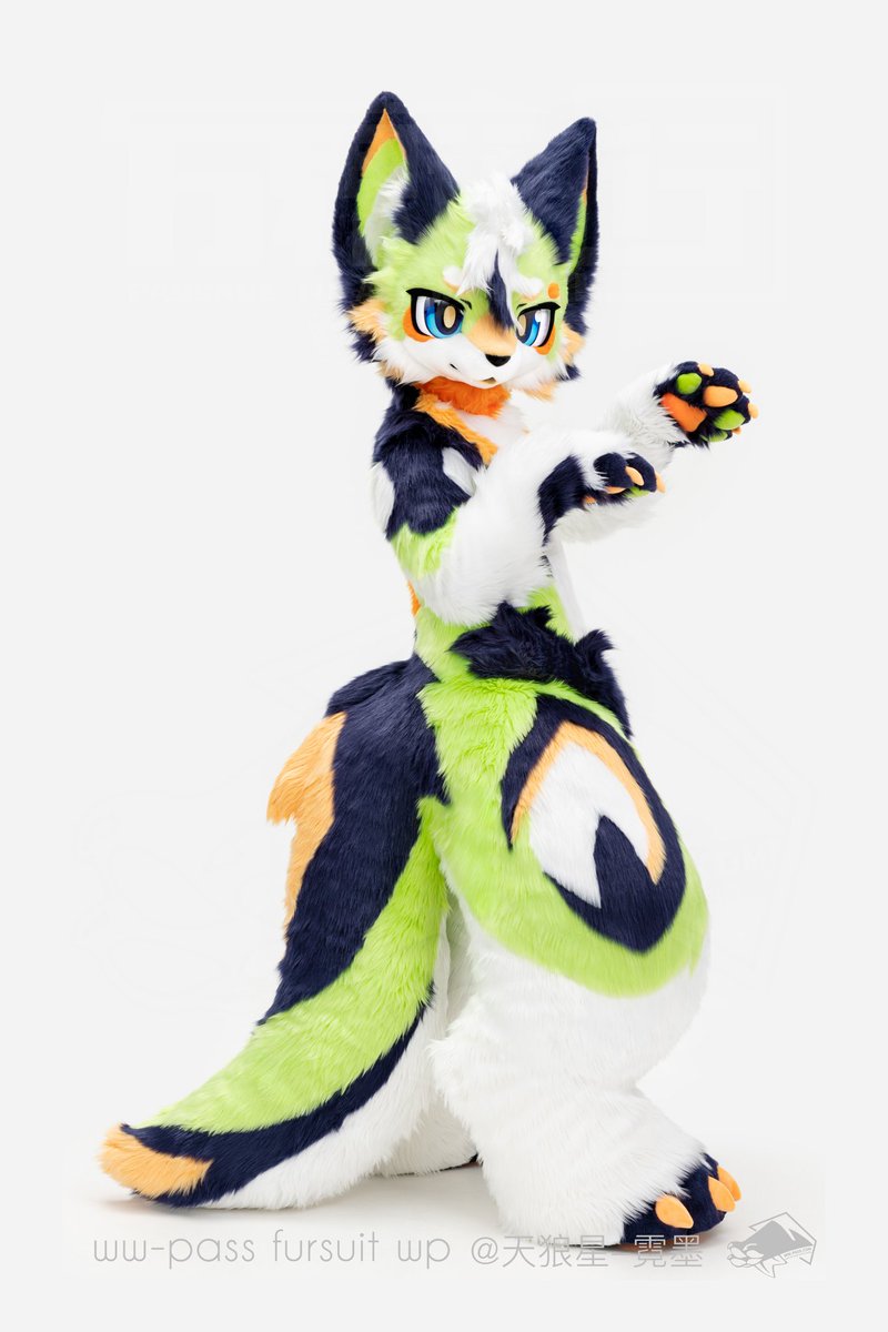 yimaniao's tweet photo. ＃万物通行 ＃wwpass  ＃fursuit ＃万界通行  
🍈🍊🫐🐶  100% https://t.co/2PuLK4aWq3