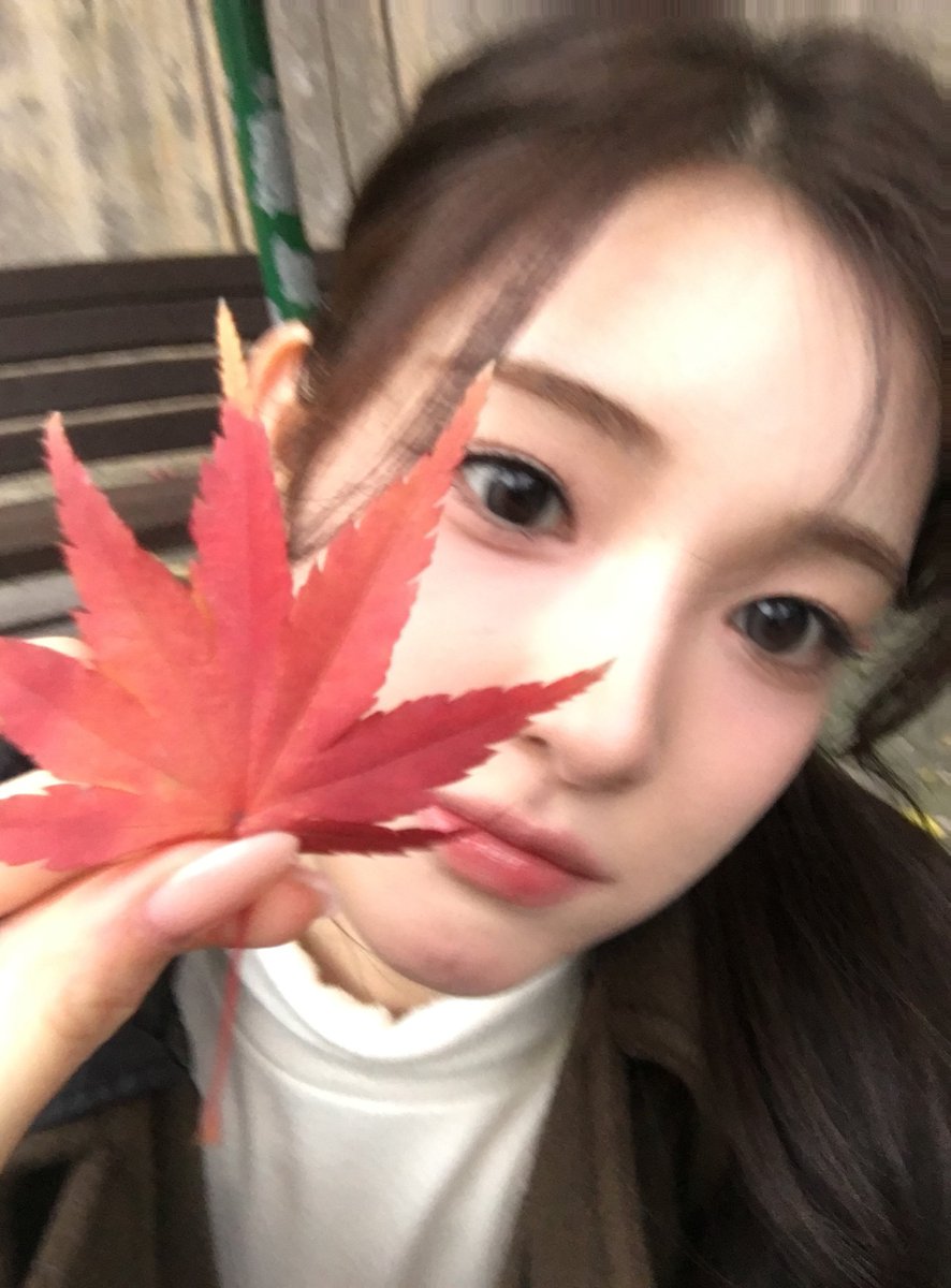 dogfomar's tweet photo. 단풍잎이 퍼컬인 수준ㄷㄷ https://t.co/RF0jDwdeRP