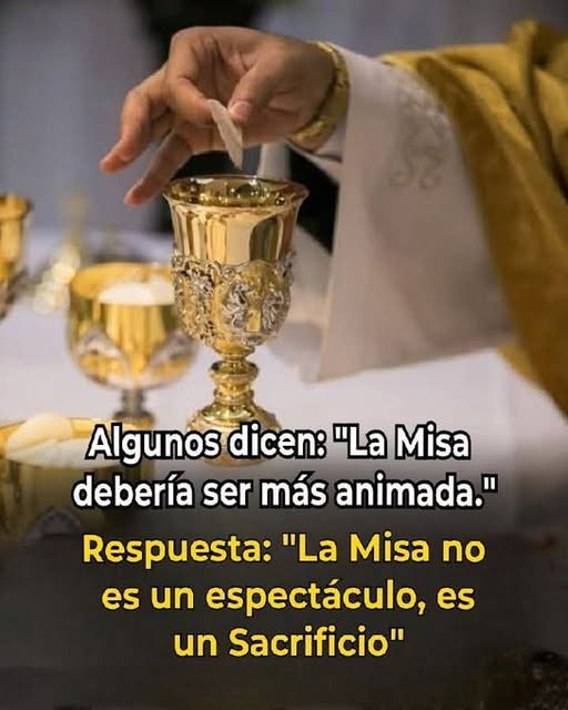 liderSanAlfonso's tweet photo. https://t.co/TBbF6ma562