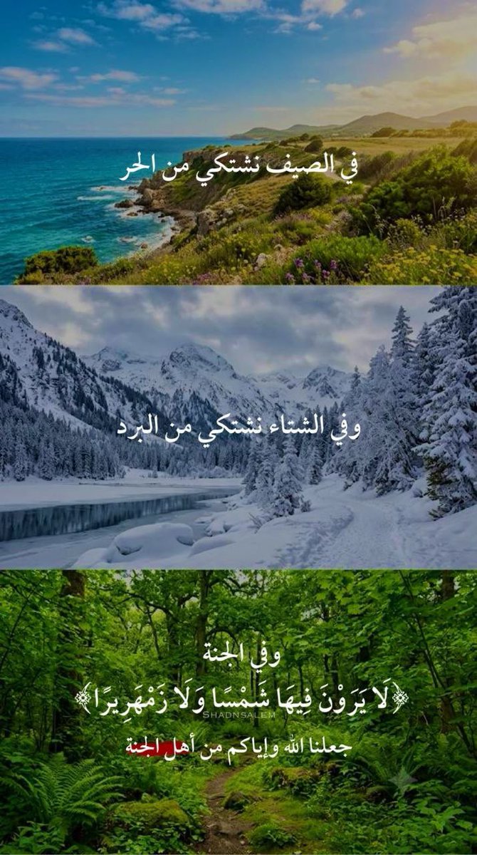🌱أمل 🌴وثقتي بالله 🌴 tweet media
