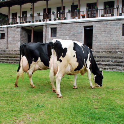 German28Miranda's tweet photo. #NuevaFotoDePerfil https://t.co/o91f4aWmC4