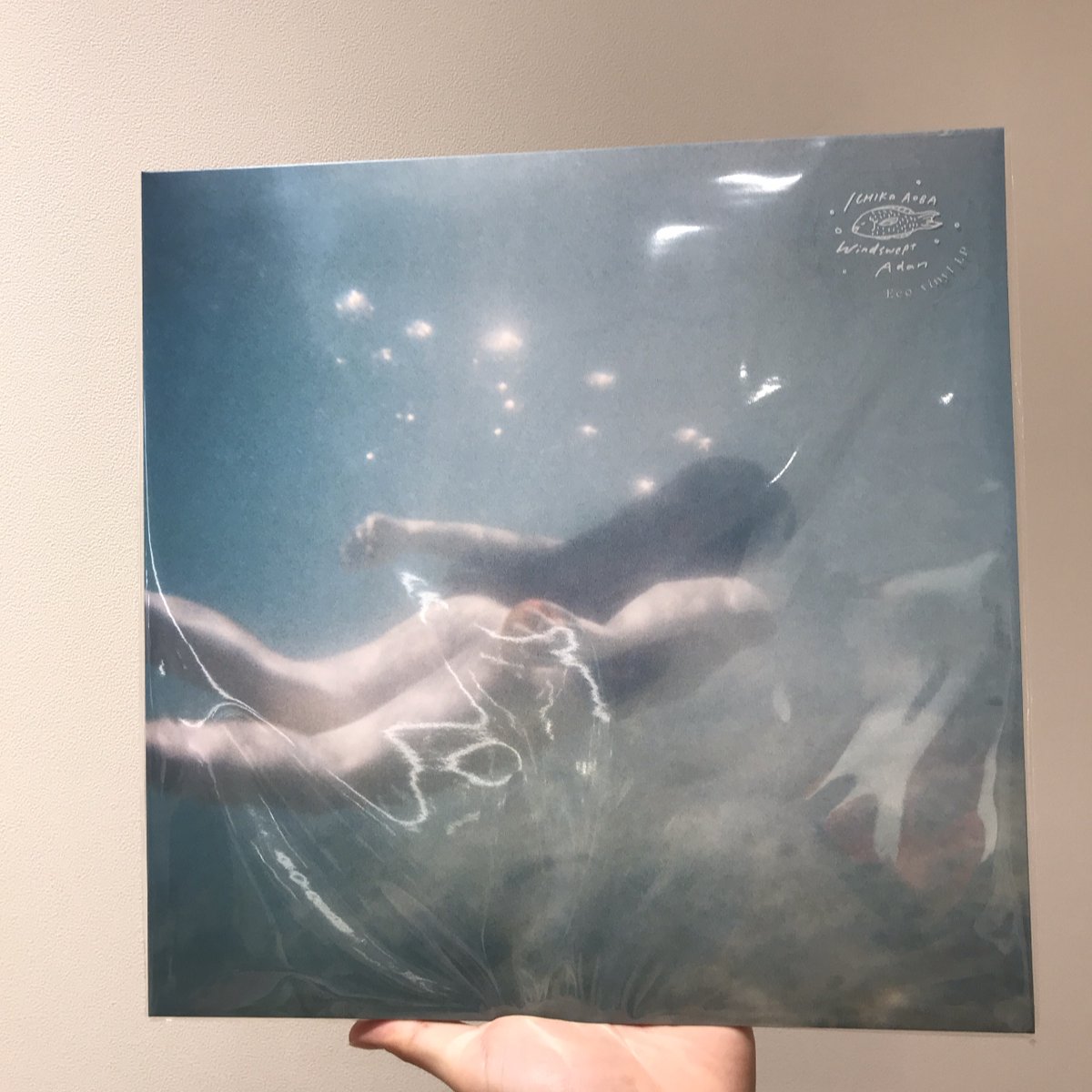 入荷情報】 青葉市子/アダンの風 (再プレス/2枚組アナログレコード