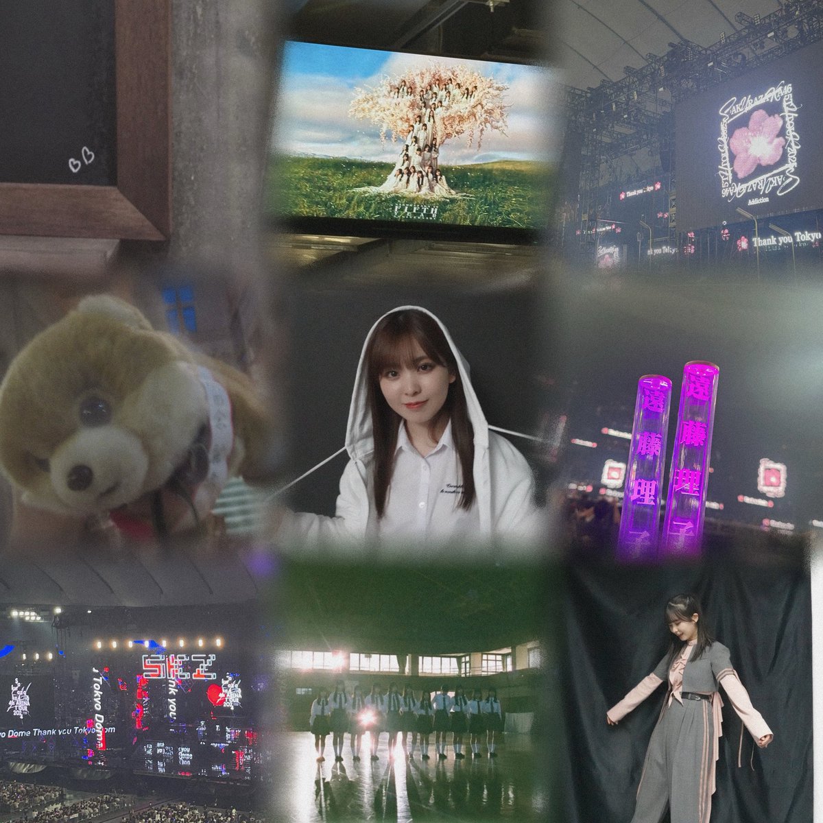 rii1_o9's tweet photo. 🏷𓈒𓏸︎︎︎︎
⠀
⠀⠀⠀⠀⠀⠀⠀05￤Kanto￤♂
⠀
⠀⠀⠀⠀⠀⠀⠀遠藤理子ちゃん
⠀
⠀⠀⠀⠀たくさんお迎え行きます❤️‍🔥
⠀⠀⠀⠀⠀⠀⬇️ALTあります!!
⠀
#Buddiesと繋がりたい
#櫻坂46好きな人と繋がりたい https://t.co/3LDqLT6ZQp