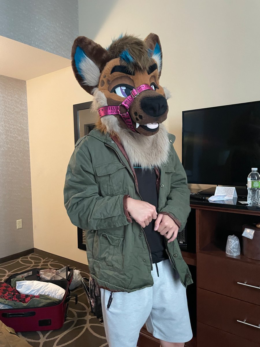 __Meitnerium__'s tweet photo. Thanks to those that made today a great start to AC, I hope tomorrow can be an even better day! 

Surprisingly this is @SpringfieldWolf https://t.co/JkTtWlM4RC