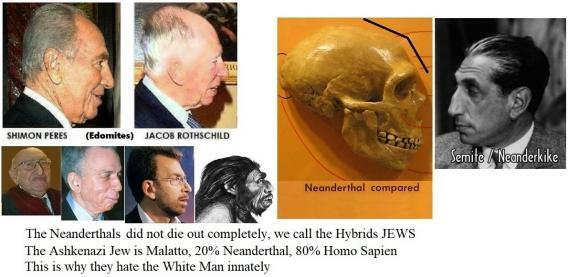 Zysis_Ruend's tweet photo. @Parodyjeffx It all starts there^ Learn of the Pale, learn then of the Roman exile, the Ottoman exile, then you'll know the truth. They cling to a sliver of humanity, the rest... They are the "beast" of the bible; their number is 666. https://t.co/bzQ3SHzgzP
