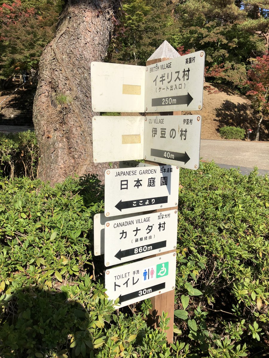 林。🍁 tweet media