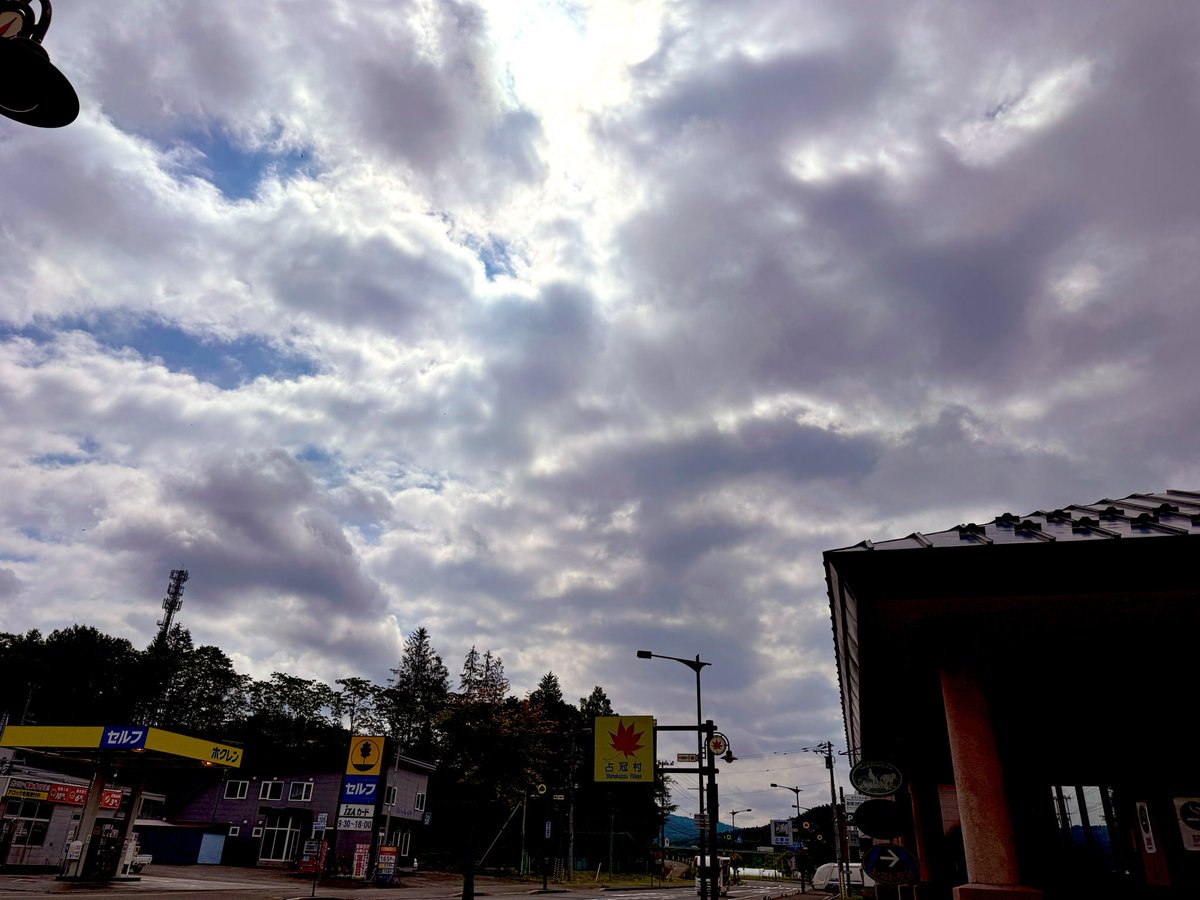 shimukappi's tweet photo. こんにちはだぴー！朝の挨拶遅れてごめんだぴー(>_<)今日の占冠は雲がちょっと多めだけど、暖かくていいお天気だぴー︎︎☁☀️✨️︎︎☁7月になってお祭りの準備がどんどん進んできたぴー(〃´o｀)ﾌｩ…8月、お友達に会えるの楽しみにしてるぴー«٩(*´ ꒳ `*)۶»ﾜｸﾜｸ💕 https://t.co/gqQMQjp3ln