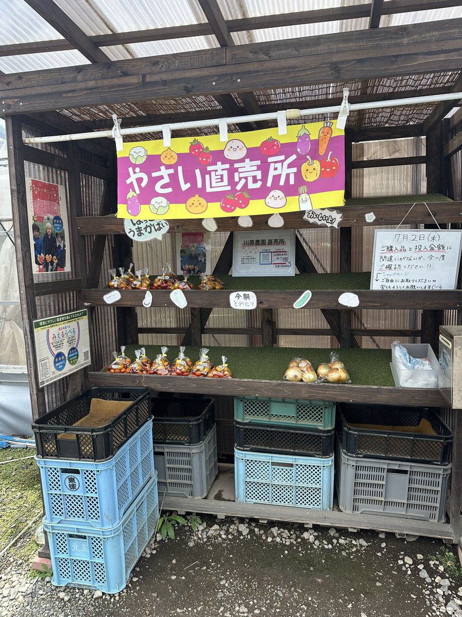 hima515's tweet photo. お昼に行ったら沢山出てた🍅
まとめ買い😊

#川原農園 https://t.co/7mK0MJY9R6
