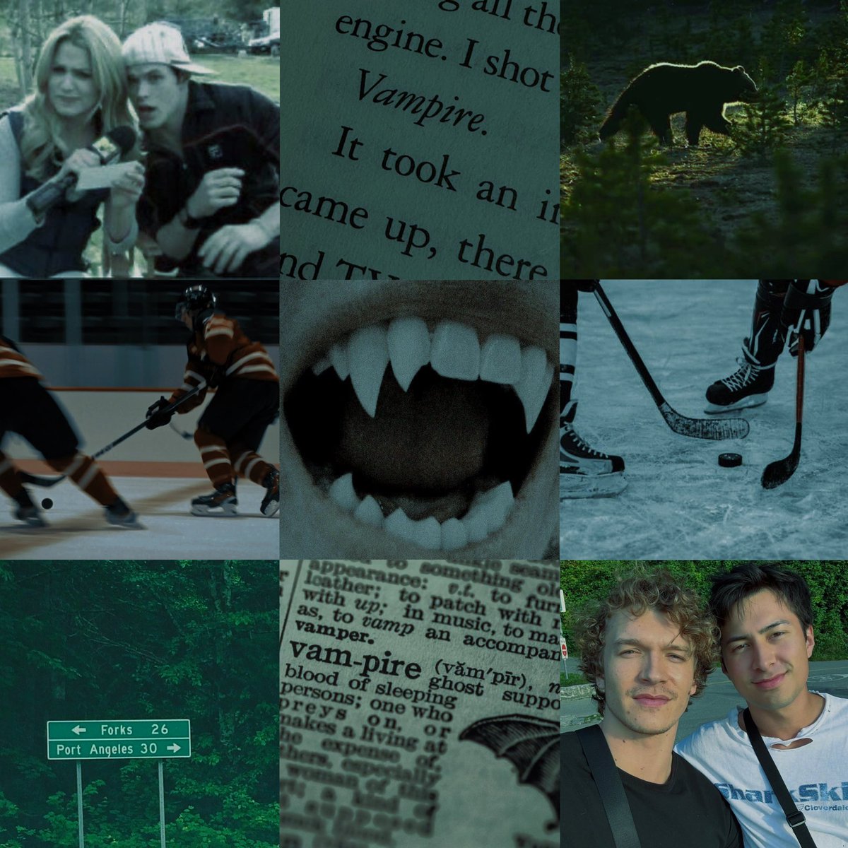 ilyacig's tweet photo. 🪾 vampire or european?
🌲 twilight x heated rivalry crack fic
🔗 https://t.co/8LddvDYI4a https://t.co/OE26QQWQF8