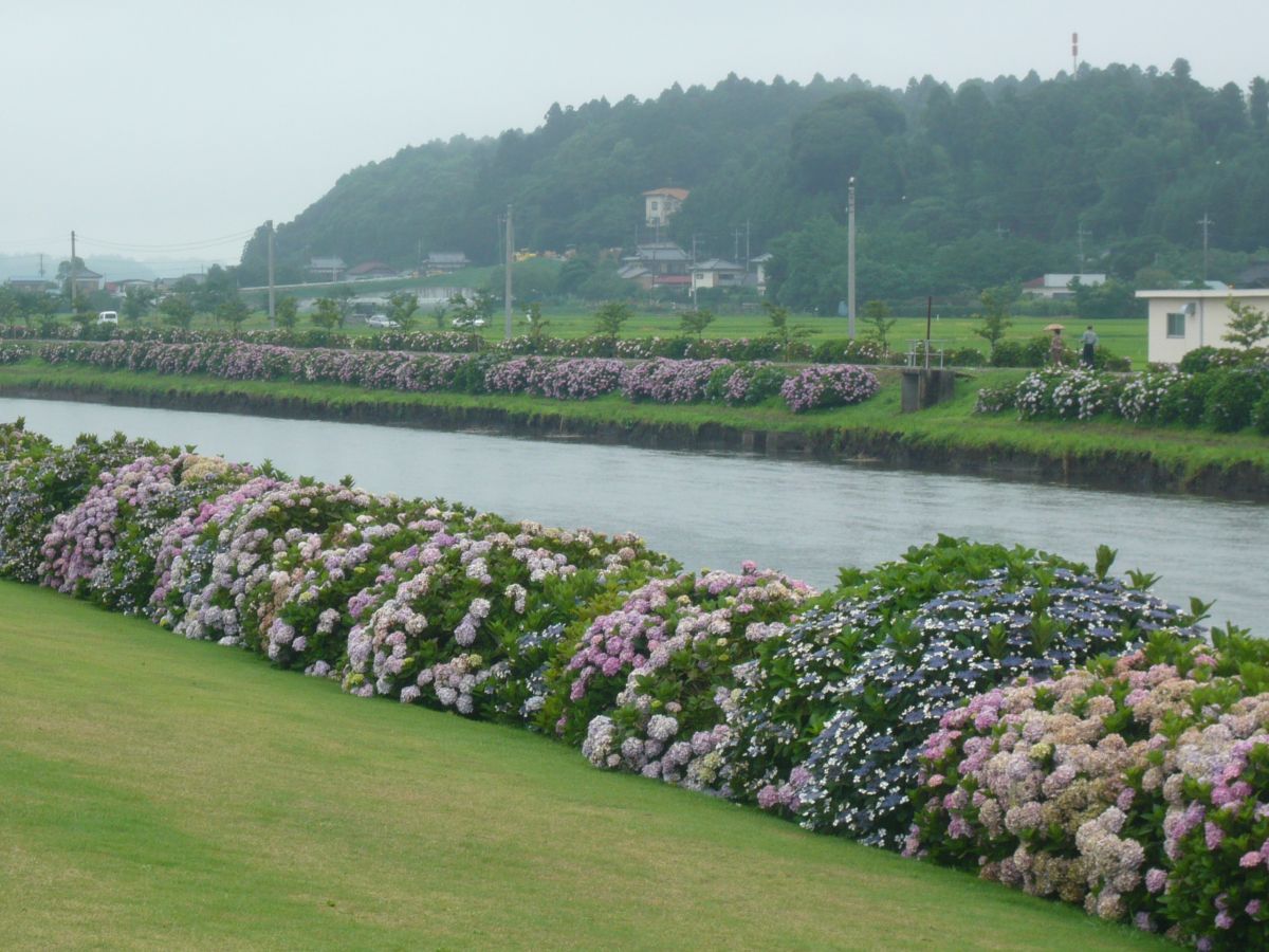 kaiteoku's tweet photo. 平日に休みが取れたのでDS11で出かけたかったけれど、雨模様だったので、クラウンアスリートで銚子までドライブした時の記録。
 https://t.co/xve30dcwWO https://t.co/0ReUvKxgBu