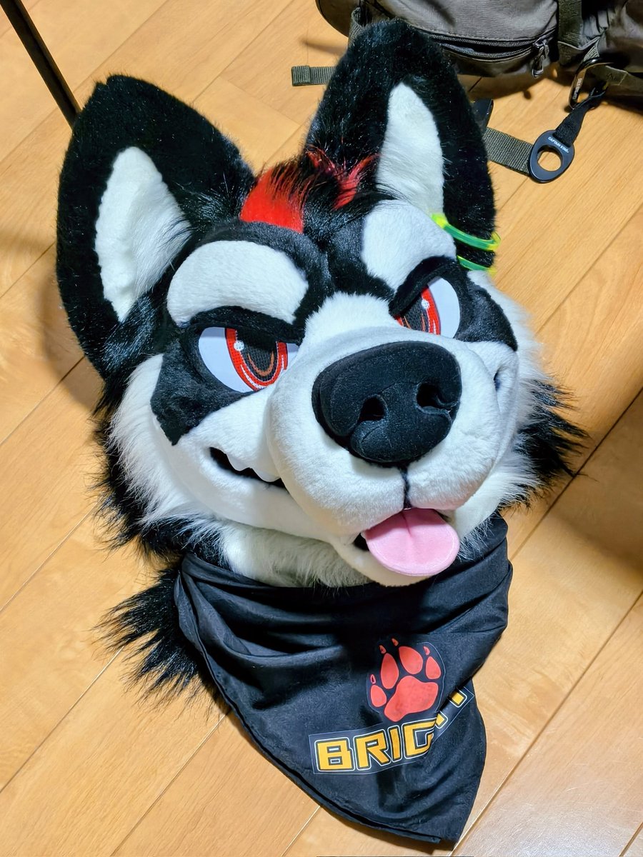 GTHY_shooter's tweet photo. 🐕 ͗ ͗ https://t.co/n1GVFJynhN
