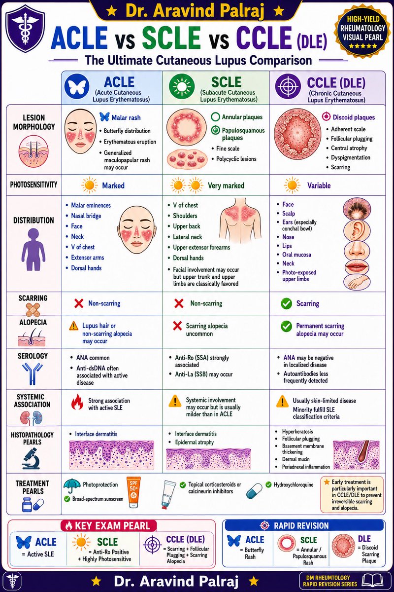 Rheumat_Aravind's tweet photo. Not all cutaneous lupus lesions are the same.

🦋 ACLE = Butterfly rash + active SLE

⭕ SCLE = Annular/papulosquamous rash + marked photosensitivity + Anti-Ro positivity

🎯 CCLE (DLE) = Discoid plaques + follicular plugging + scarring + permanent alopecia

Recognizing the pattern helps predict systemic associations, guide investigations, and prevent irreversible damage.

#Lupus #Rheumatology #Dermatology #MedEd #SLE @IhabFathiSulima @docakx