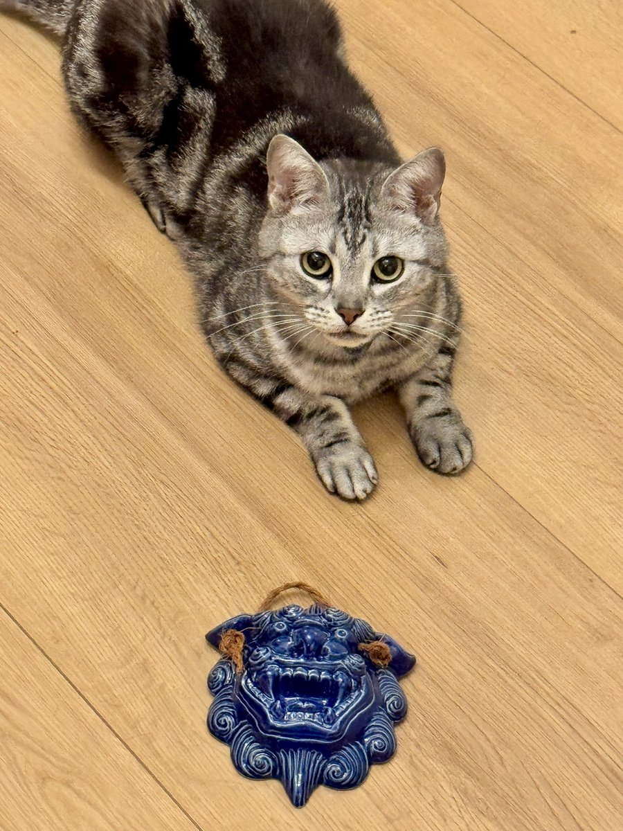 ryosiro's tweet photo. 姉からシーサーが届いた https://t.co/sjkpuVitJj