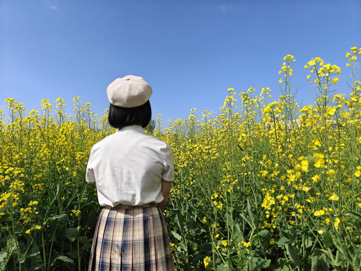 yfy465's tweet photo. 好久没发推了，来喵喵叫两声
毕业啦，但是没有去向
对接下来的人生方向相当迷茫哇
另外，是一张果的照骗 https://t.co/4SCwqXyN3M