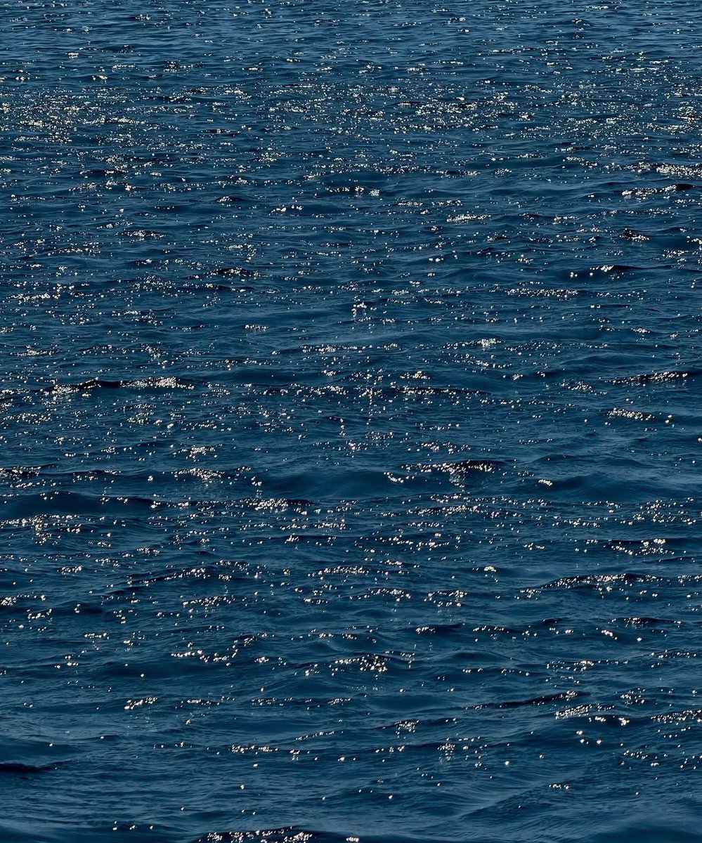 lunecrumbss's tweet photo. when the sun makes the water glitter https://t.co/2slWz2ZnFL