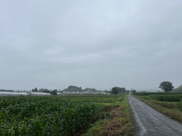 Gunma_Space's tweet photo. 2026年7月2日 – 本日・今朝の赤城山 – 今日も群馬県前橋市より発信。今朝も梅雨らしいグレーな空。小雨舞う中、今朝も赤城山は雲の中です。雨のち曇り 24℃/20℃ ポツリポツリと雨に打たれた今朝のお散歩タイムでした。
https://t.co/AEJVDGvbW1 https://t.co/R2qasr2pbf