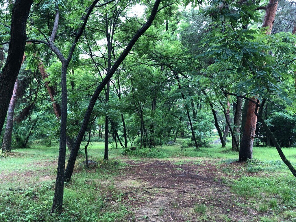 hisuruma's tweet photo. 雨のひするまキャンプ場
＃ひするまキャンプ場 https://t.co/uspx2MbezN