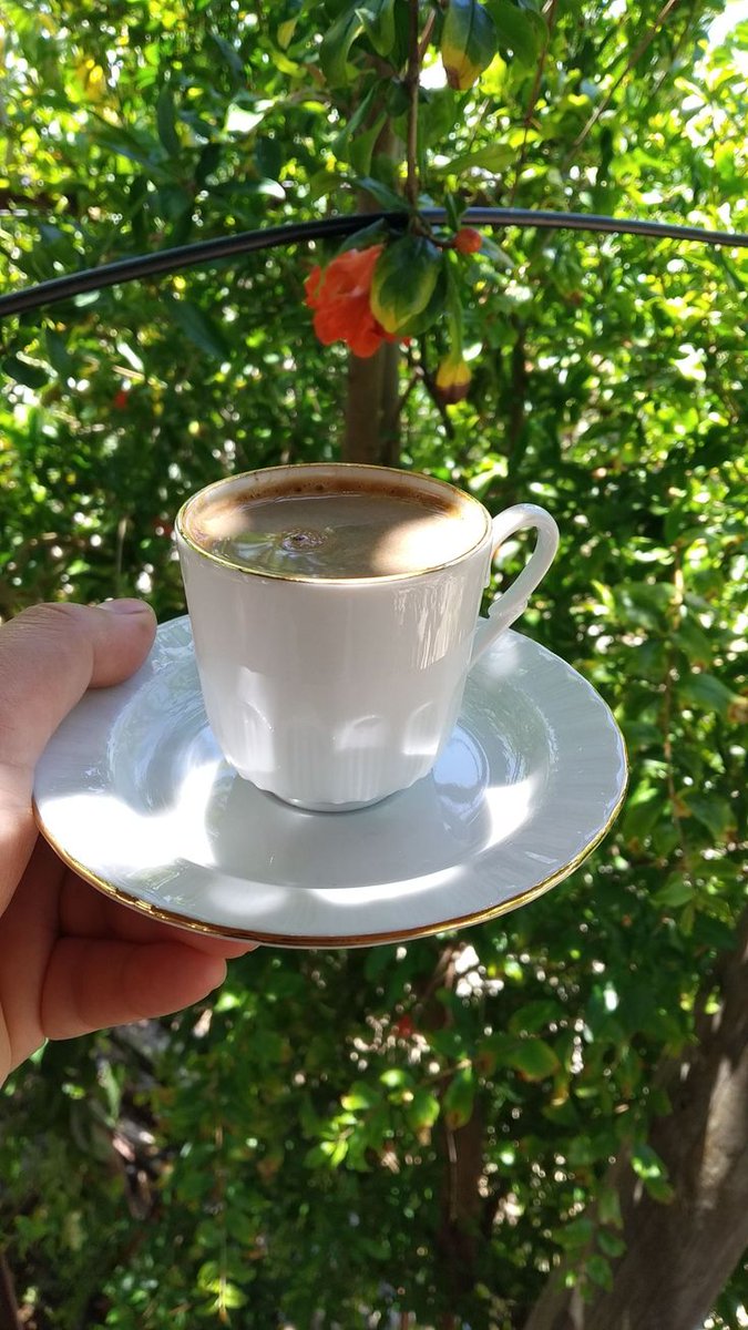 kickbokstime's tweet photo. GÜNÜN KONTROLÜ SENDEYKEN
          ☀️HERŞEY MÜMKÜN ☀️
GÜNAYDIN 😎 https://t.co/nhRlI9dnRO