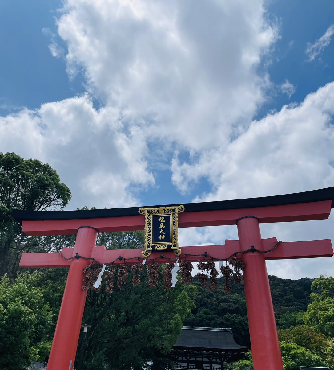 wine14wine's tweet photo. 松尾大社近くの地元客で賑わう大力餅食堂
ボリュームある定食も多いが「のっぺいうどん」を注文
餡かけの味が絶妙で熱いので食べるのに時間がかかるがクセになるおいしさ
テイクアウトしたおはぎは最後の1個だった(きなこは売切れ)

松尾大社鳥居には脇勧請と呼ばれる榊の束(12束)が吊るされている https://t.co/sMVxBpCHTF
