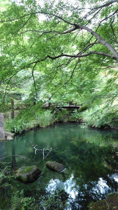usio713's tweet photo. 久々にFantasiaのアリカ様を観て、本当に女神の様に麗しいなぁと✨
さて、もうすぐアリプロのコンサート🎵
昼休みは1人、音楽を聴き過ごすのだけど、アリプロの音楽が一番心休まる。特にワルツ系。
殿とアリカ様が紡ぐ美しい情景の浮かぶワルツは心を落ち着け、午後も頑張ろうと思わせてくれる。 https://t.co/TaKnQs45Qe
