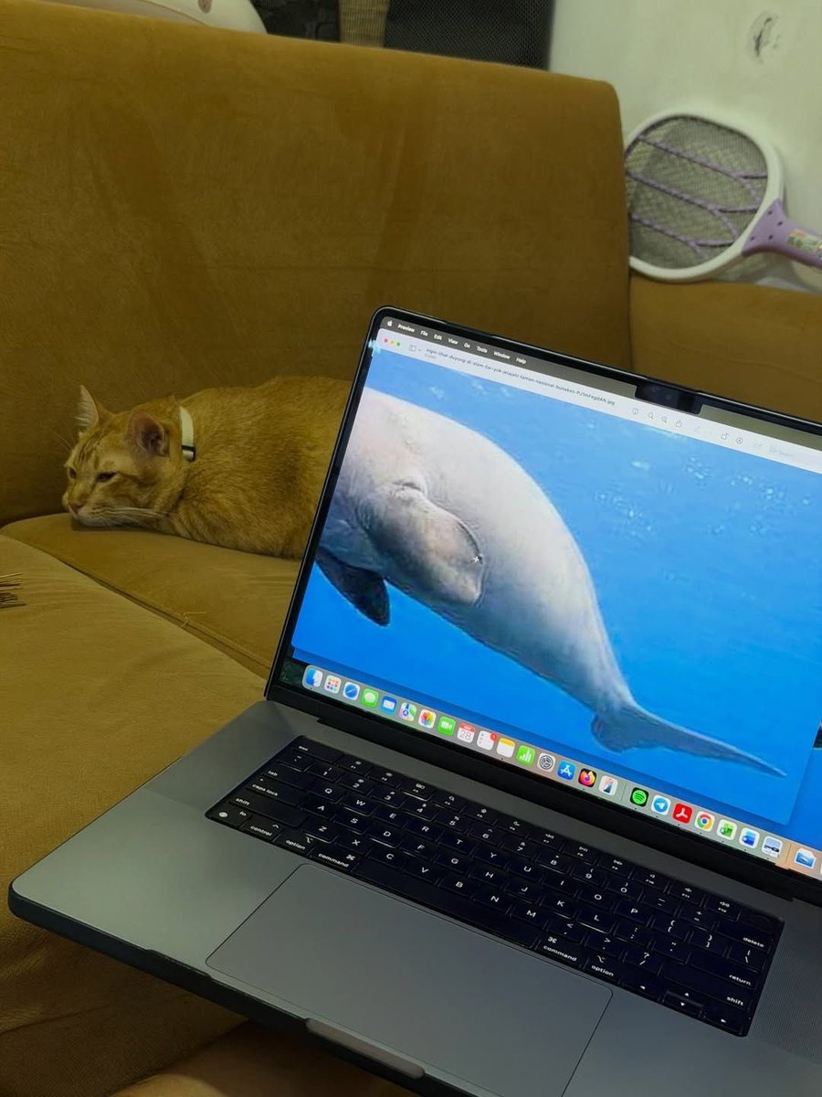 twaniimals's tweet photo. https://t.co/yEjJTGkSM3