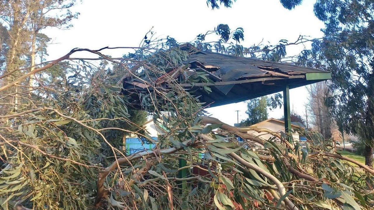 InformaAlMinuto's tweet photo. 🔴Situación en la comuna de Lautaro | Fuertes ráfagas del viento Puelche provocaron daños de consideración al interior del Parque Isabel Riquelme durante esta tarde y la voladura de techumbre de al menos una vivienda en Los Castaños con Javiera Carrera https://t.co/q8LijA8817
